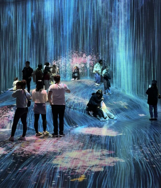 TeamLab Borderless, Tokyo